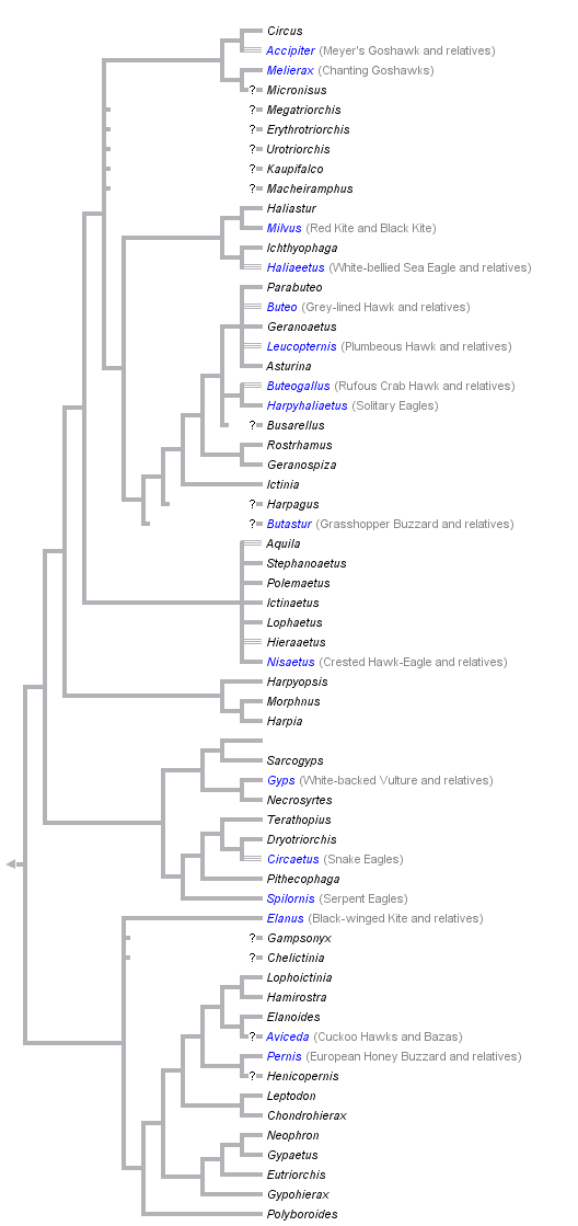 taxon links