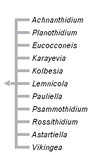 taxon links