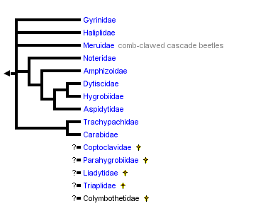 taxon links