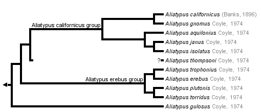 taxon links