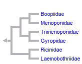 taxon links