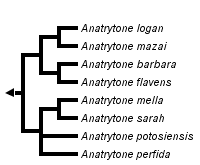 taxon links