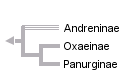 taxon links