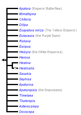 taxon links