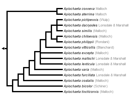 taxon links