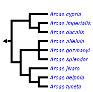 taxon links