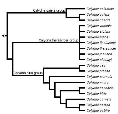 taxon links