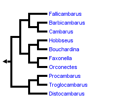 taxon links