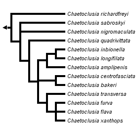 taxon links