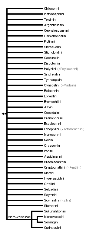 taxon links