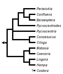 taxon links