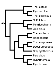 taxon links