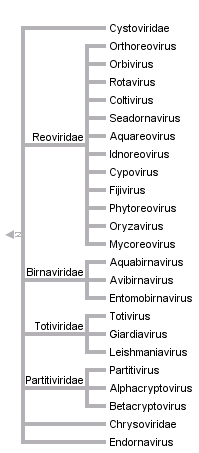 taxon links