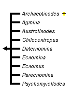 taxon links