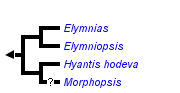 taxon links