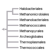 taxon links