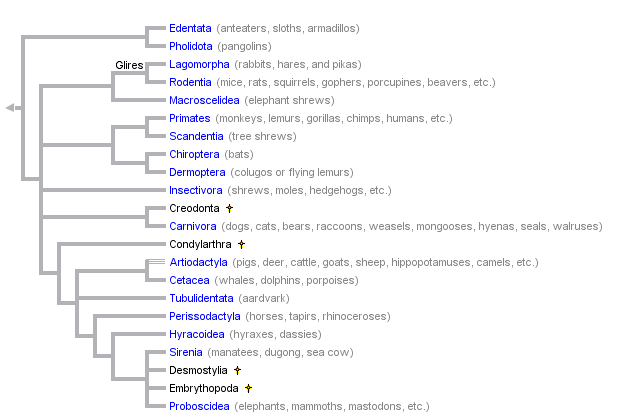 taxon links