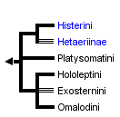 taxon links