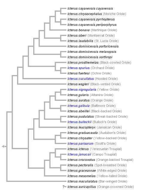 taxon links