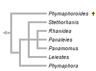 taxon links