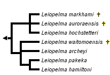 taxon links