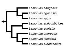 taxon links