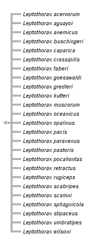 taxon links