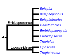 taxon links