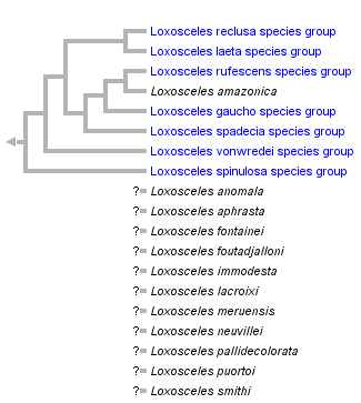 taxon links