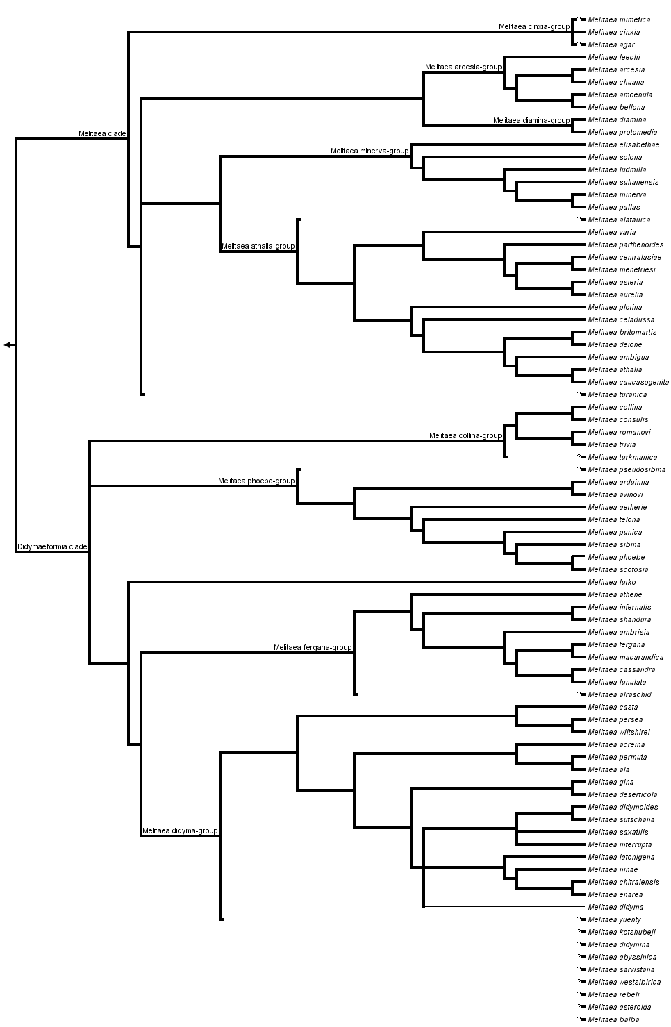 taxon links