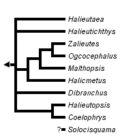 taxon links