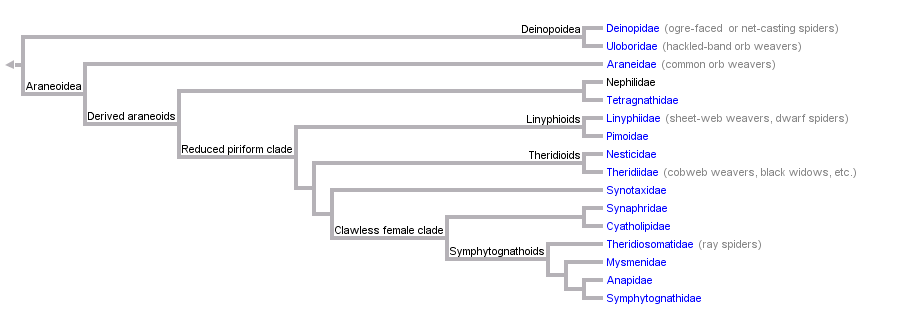 taxon links