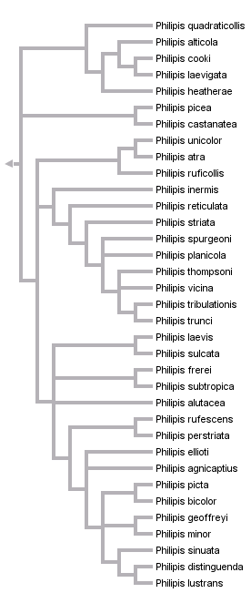 taxon links