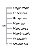 taxon links