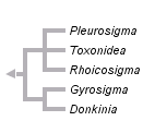 taxon links