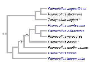 taxon links