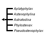 taxon links