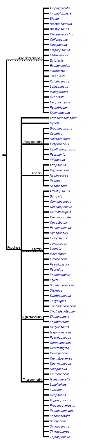 taxon links