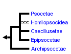 taxon links