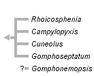 taxon links