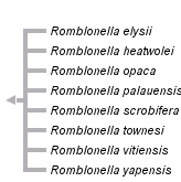 taxon links