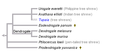 taxon links