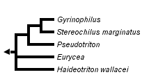 taxon links