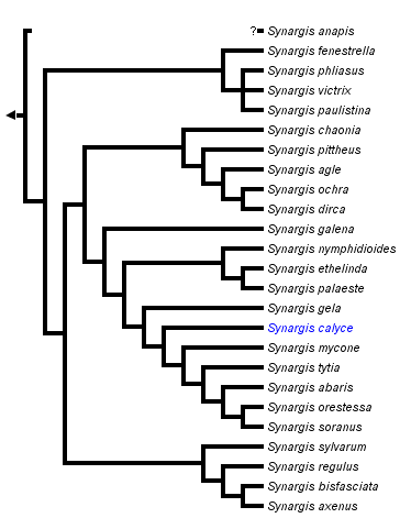 taxon links