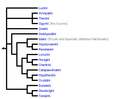 taxon links