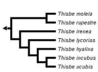 taxon links