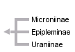 taxon links