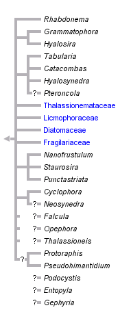 taxon links