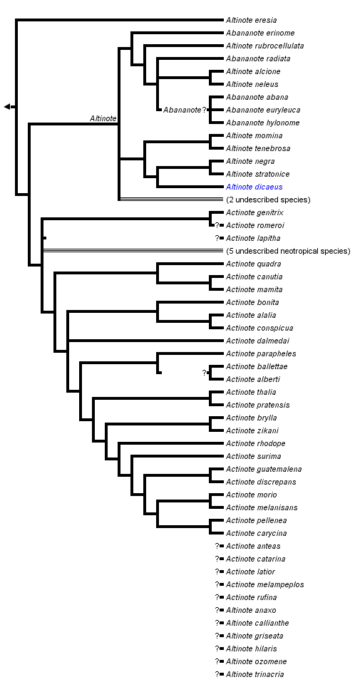 taxon links