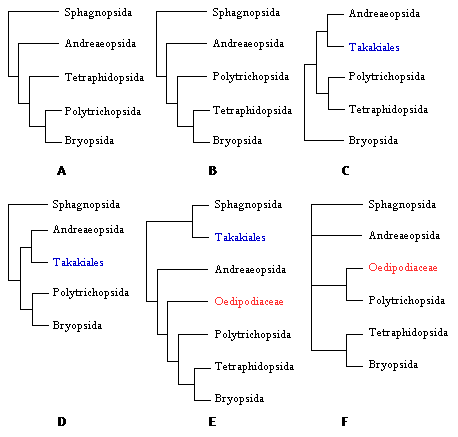 Alternative placements of Polytrichopsida, Tetraphidopsida, Takakiales, and Oedipodiaceae